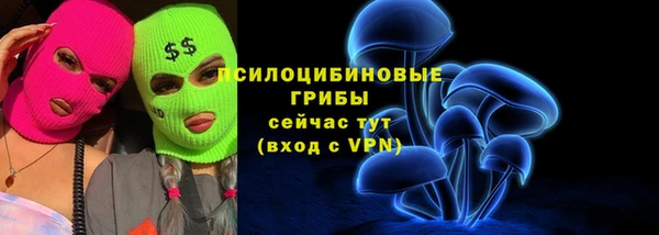 спиды Верея