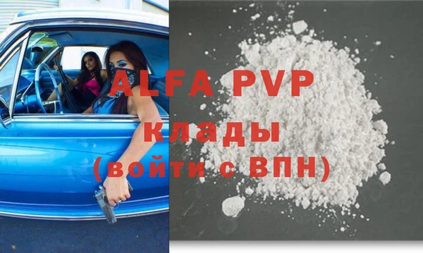 спиды Верея